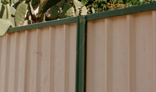 colorbond fence