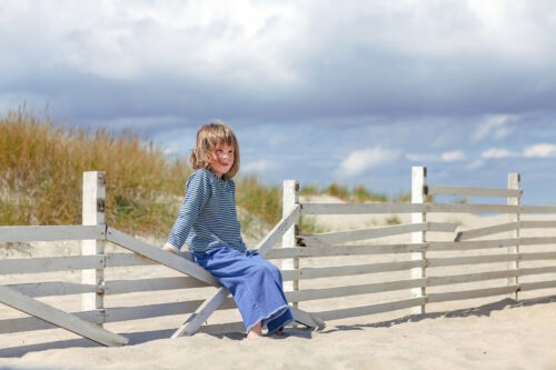 Repair or Replace Fence?