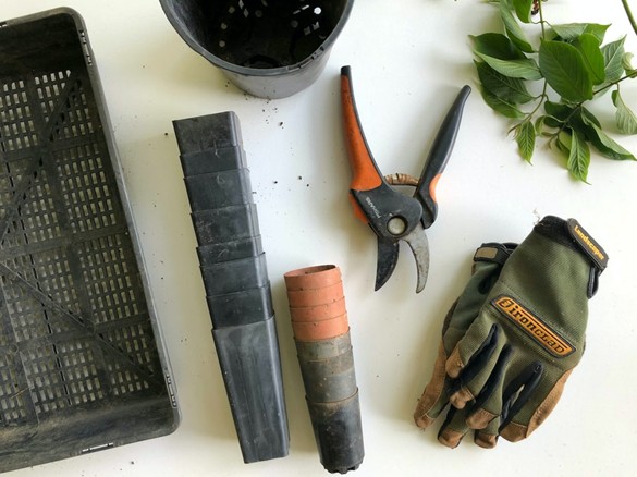 How much time are you willing to spend on your garden