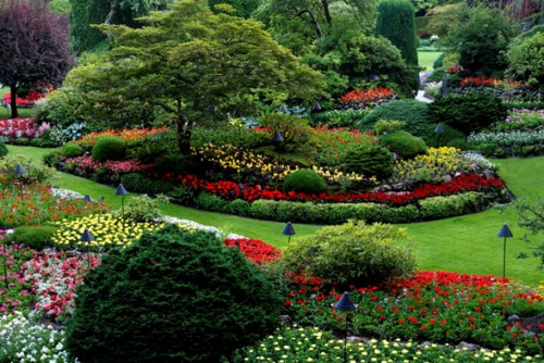 Landscaping Tips for Your Front Yard