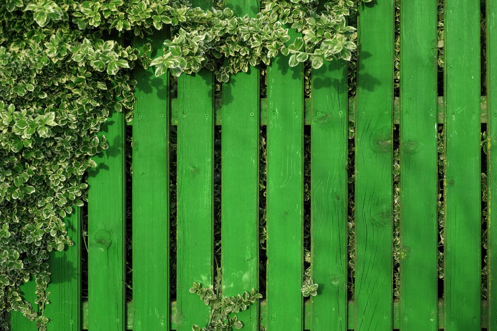 Green painted fence