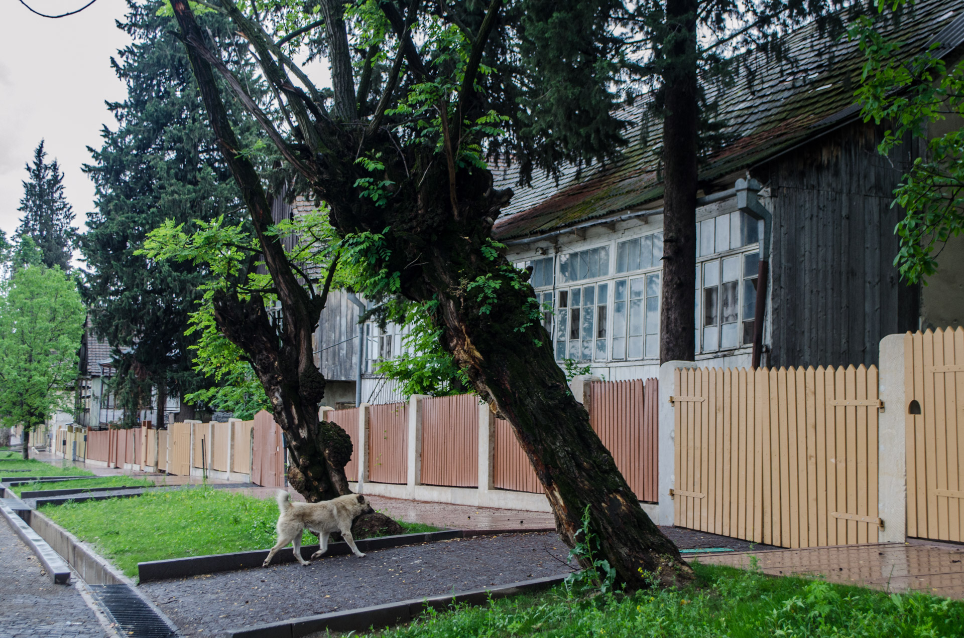 new fencing installation services