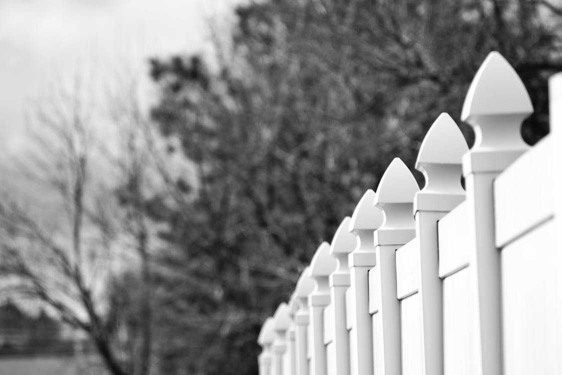 Best Fencing Contractor