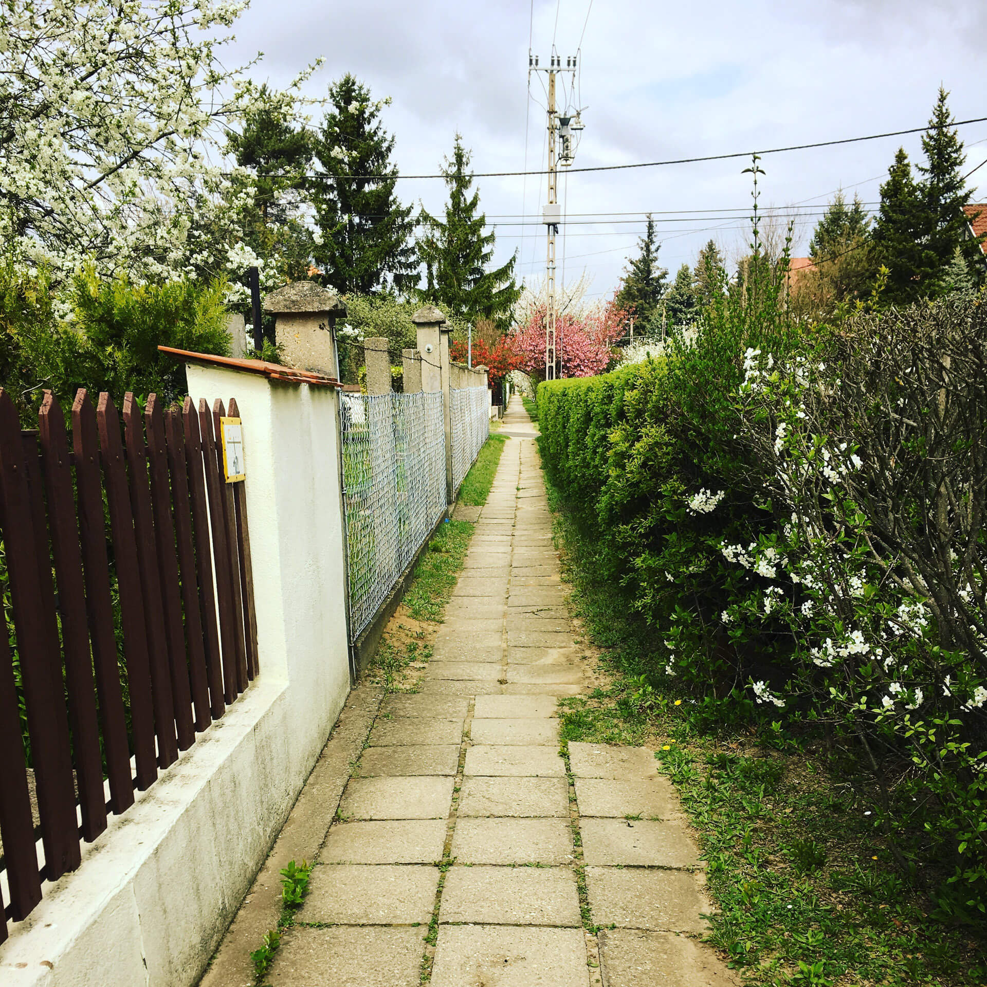 top fencing contractor