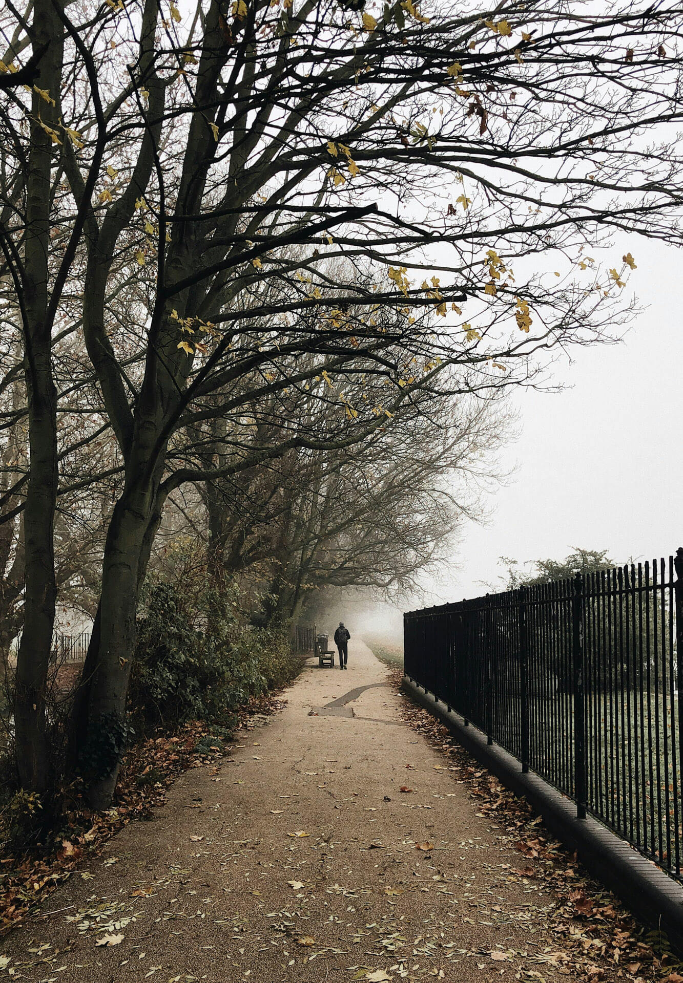 new fencing installation services