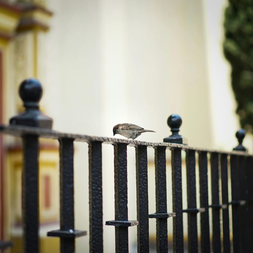 fast fencing repairs