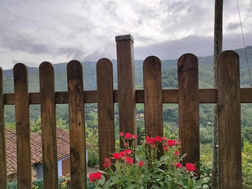 top fencing company