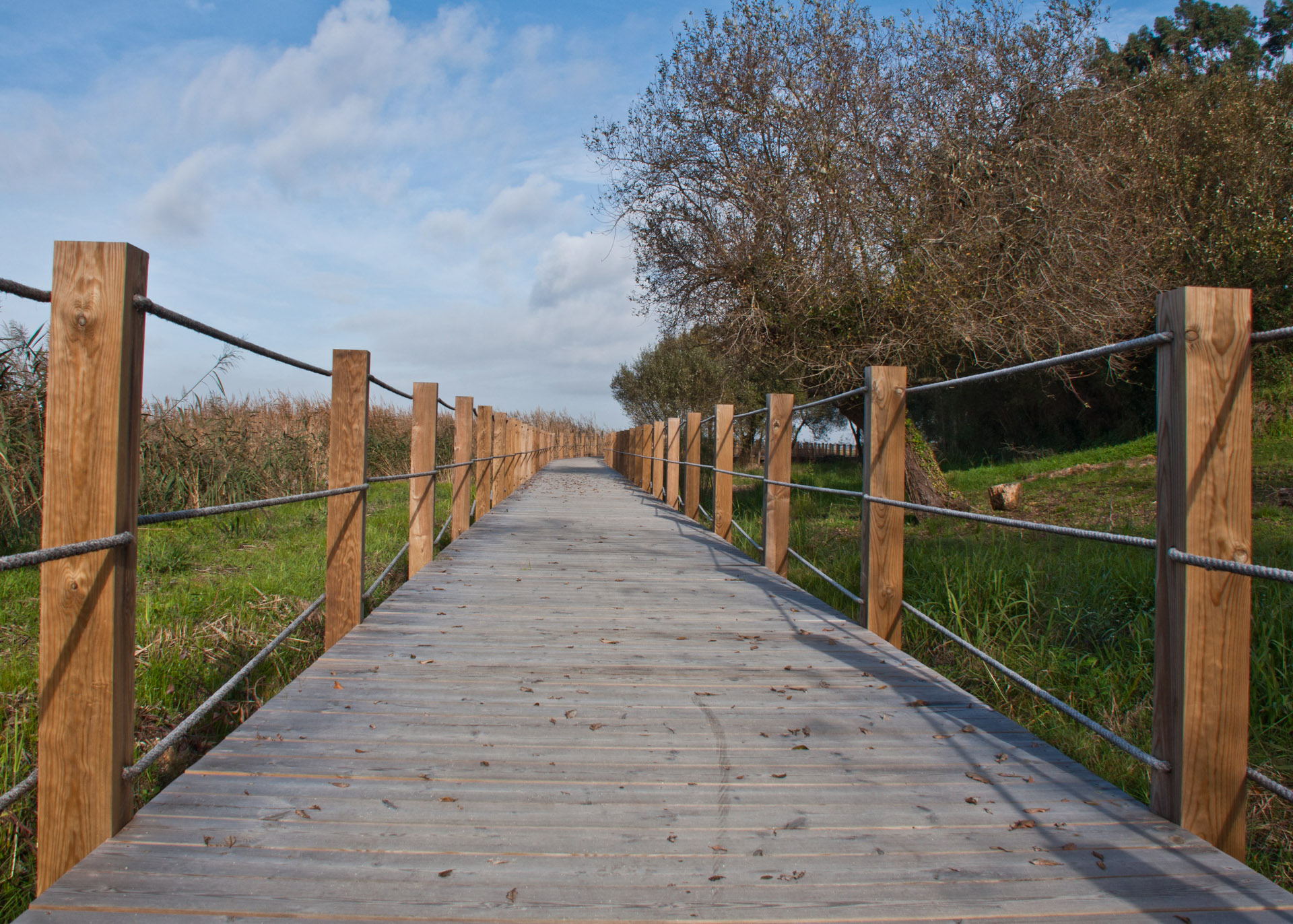 bes fencing repair services