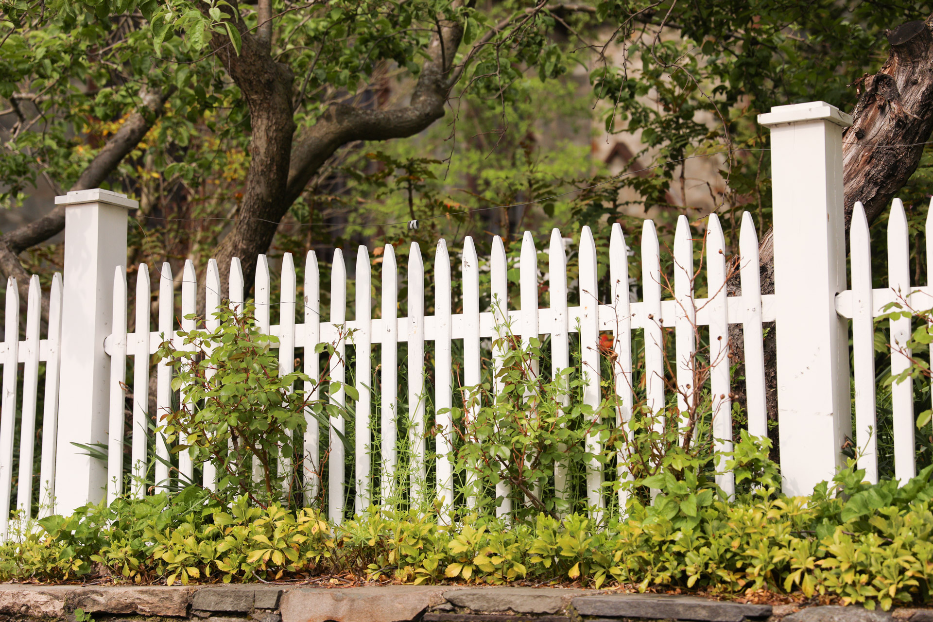 best fencing company