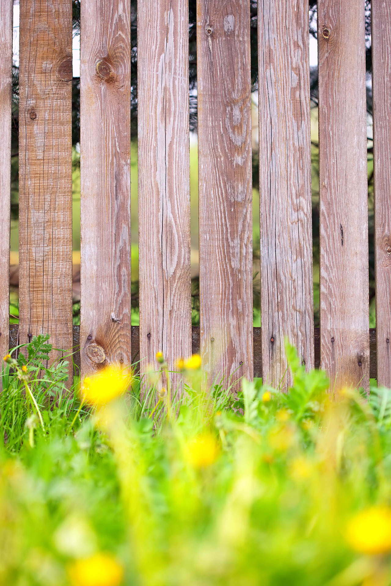 local fencing contractor