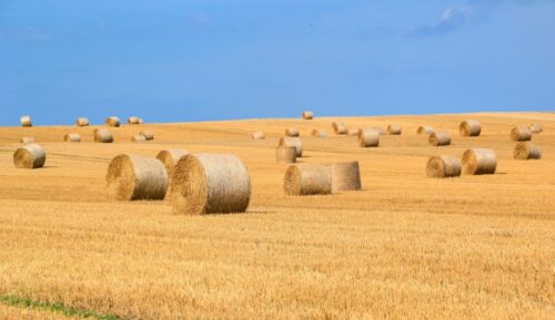 Rural Fencing Perth