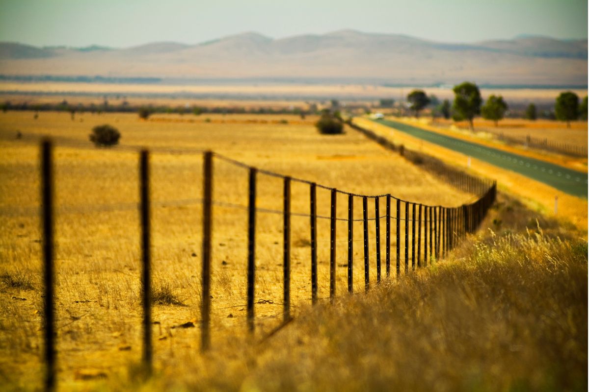 farm fence