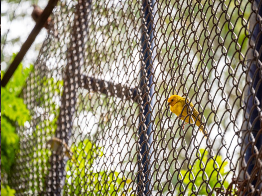 Hardifence Sheets