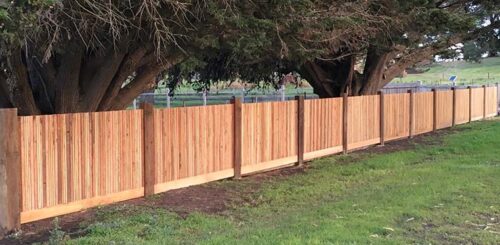 Paling fence